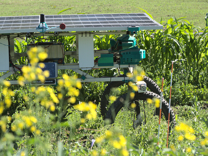 A photo showing our farming robot moving through a field, with flowers visible in the foreground.